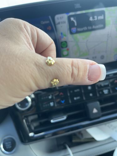 Customer photo review of The Paw Hug Ring™ - Forever in Our Hearts
