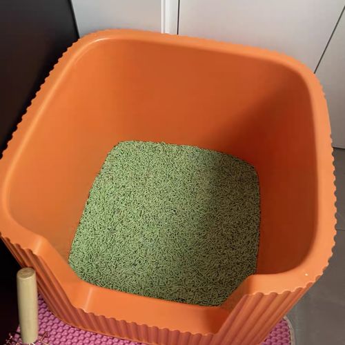 Customer photo review of Michu XXL Coral & BoBa Deluxe Cat Litter Box - Spacious Design with Scoop Included