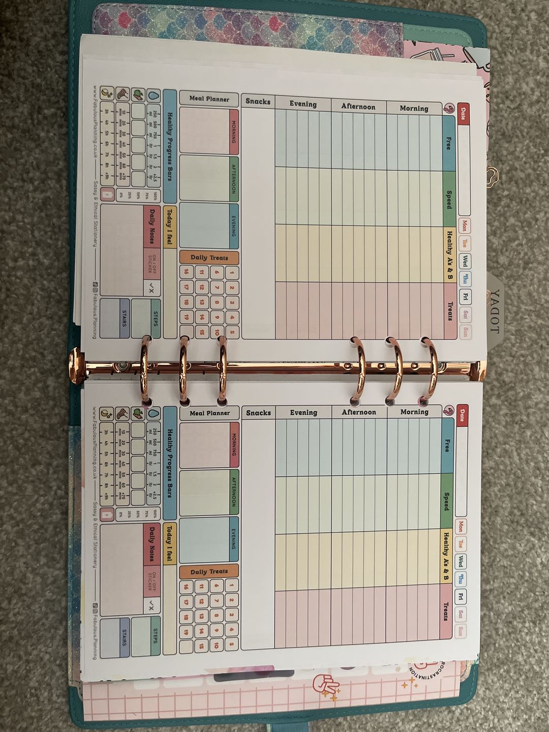 Customer photo review of Slimming World - Compact - Organiser Refill