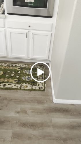 Customer video review of Hand Knotted 8x10, 9x12 Royal Green and Ivory Traditional Turkish Style Tree Of Life Wool Area Rug