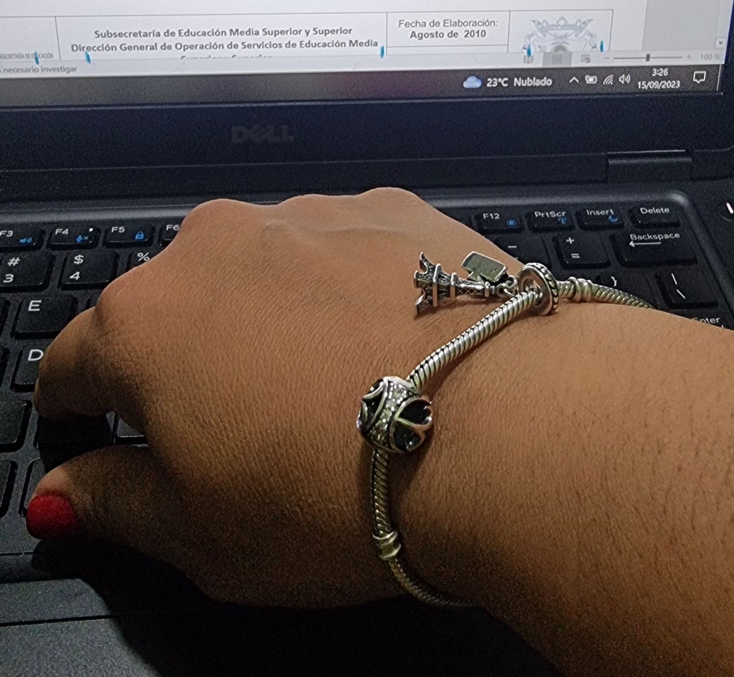 Customer photo review of Charm Horoscopo Diamantado