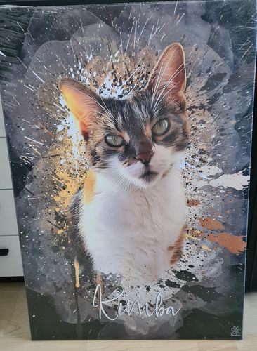Customer photo review of Graffiti Pawtrait