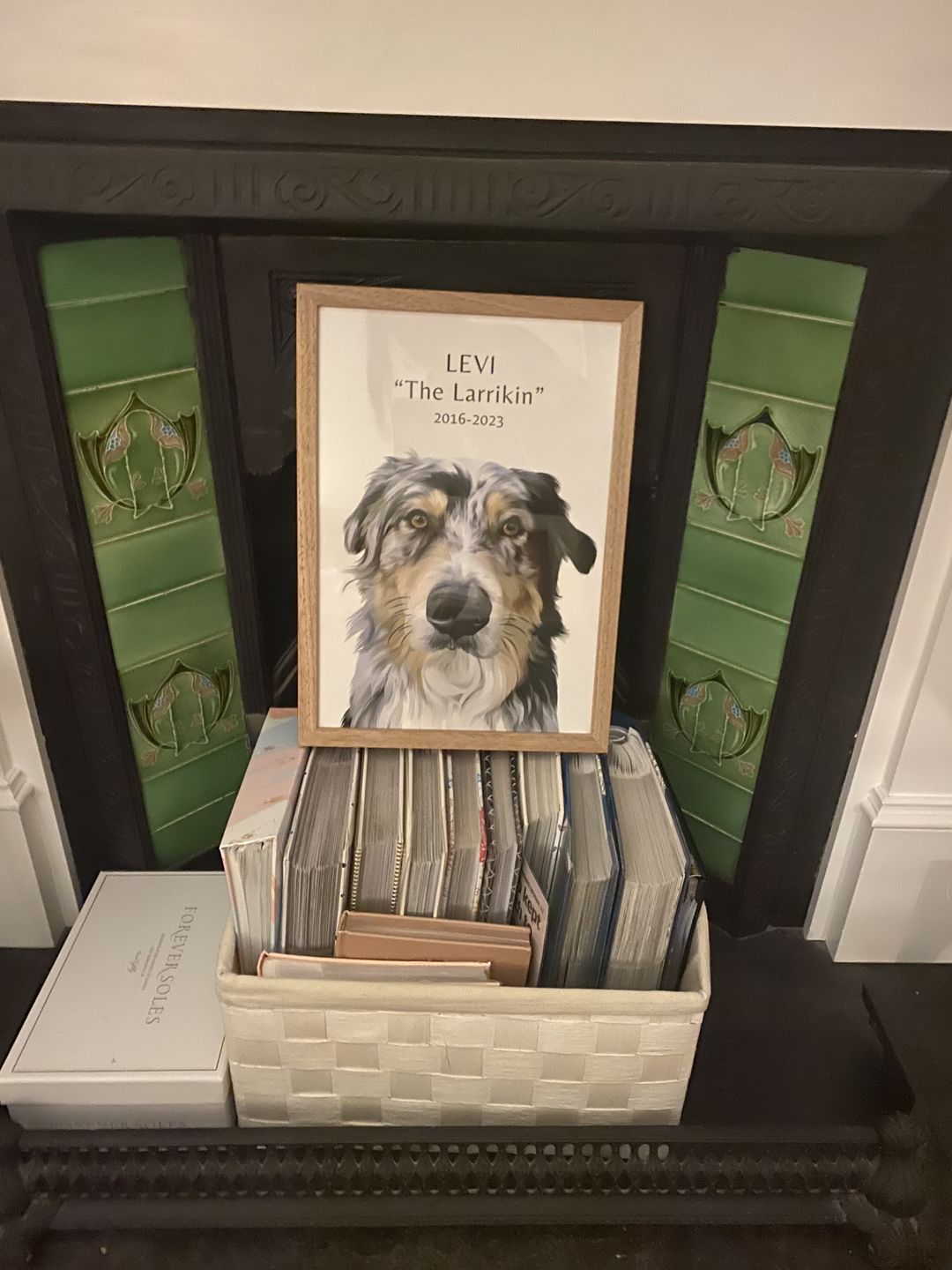 Customer photo review of One-Pet Portrait