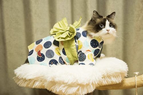Customer photo review of Michu Fluffy Blossom Real Wood Cat Tree - Premium Quality & Stylish Cat Furniture - Extra Large