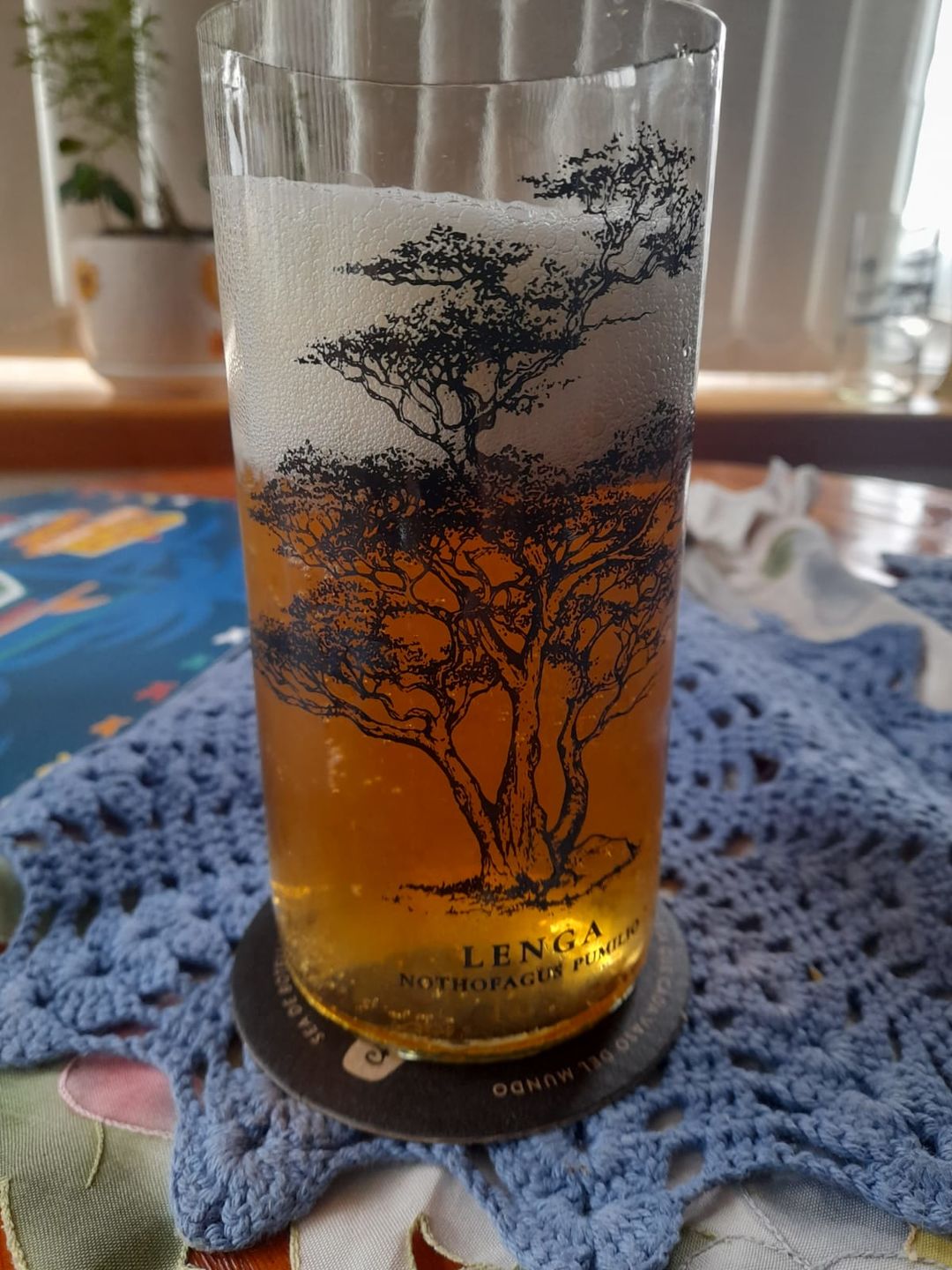 Customer photo review of Juego de 6 Vasos Árboles de Chile