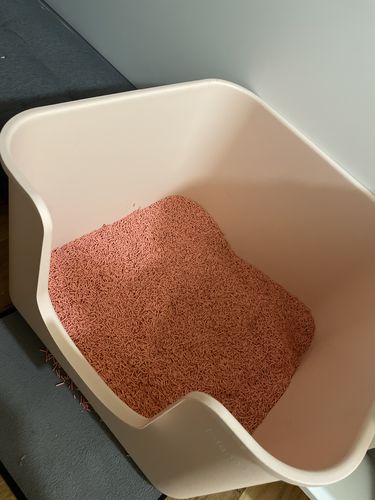 Customer photo review of Michu Tofu Cat Litter Gen3 6L- Dust-Free and Natural Clumping Tofu-Based Formula for Easy Cleanup