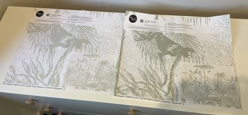 Customer photo review of Vintage Jungle in Khaki Wallpaper Mural