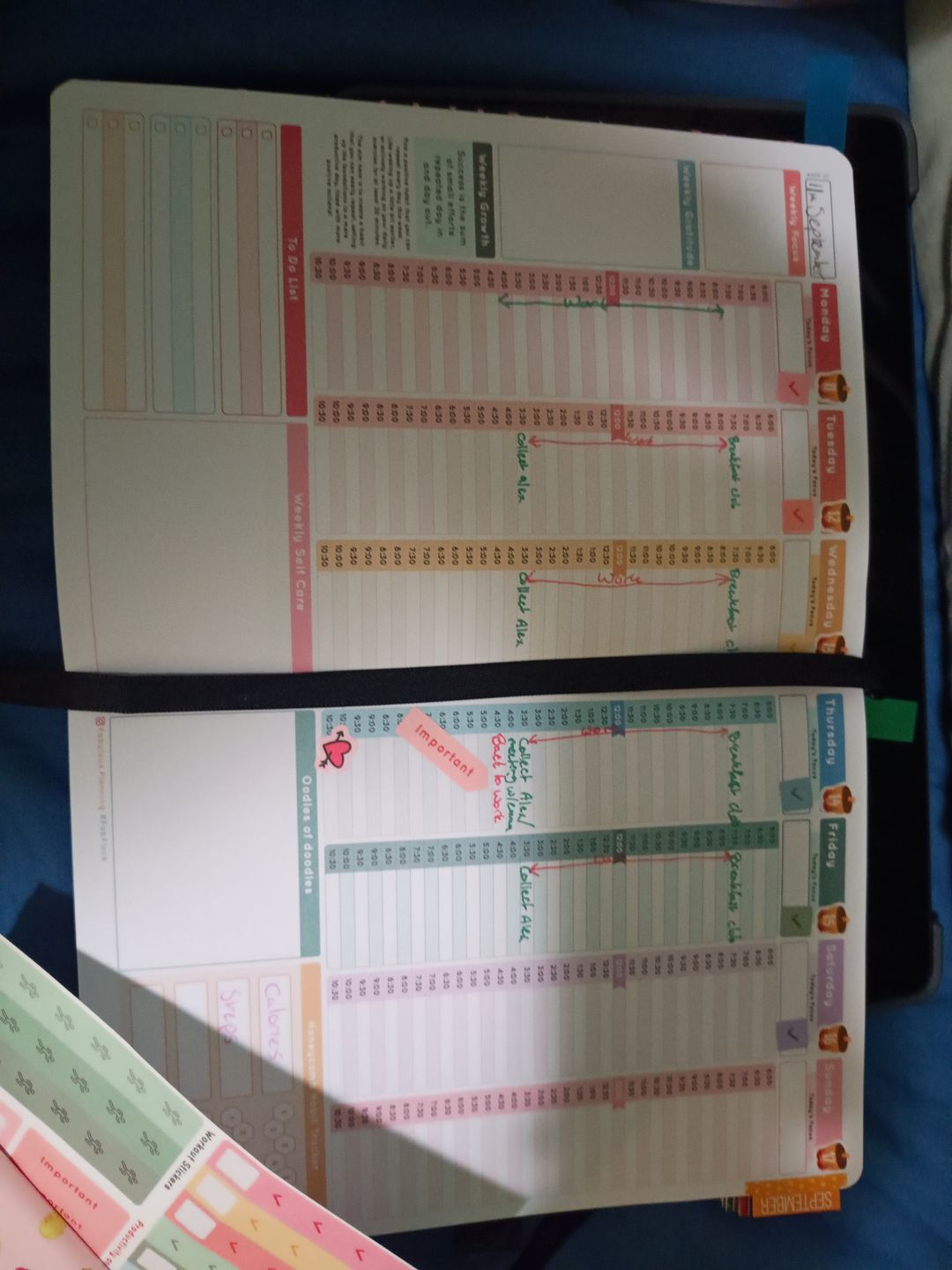 Customer photo review of Astronomy - Planning Journal