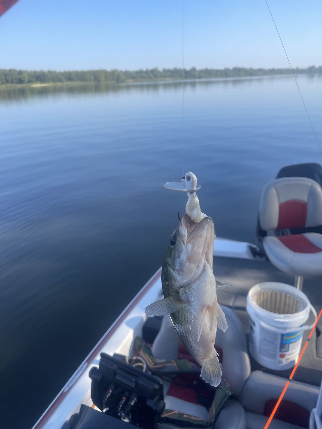 Customer photo review of 2023 Pulse Jig Team Bundle (Discount Auto Applied at Checkout)