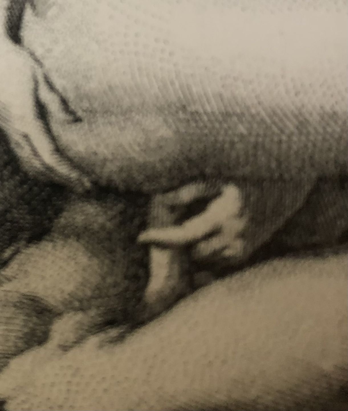 Customer photo review of Poupée sexuelle torse Masturbateur - Merida 7kg
