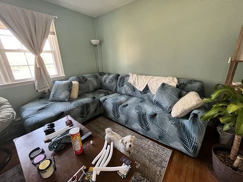 Customer photo review of L Shape Sofa Cover