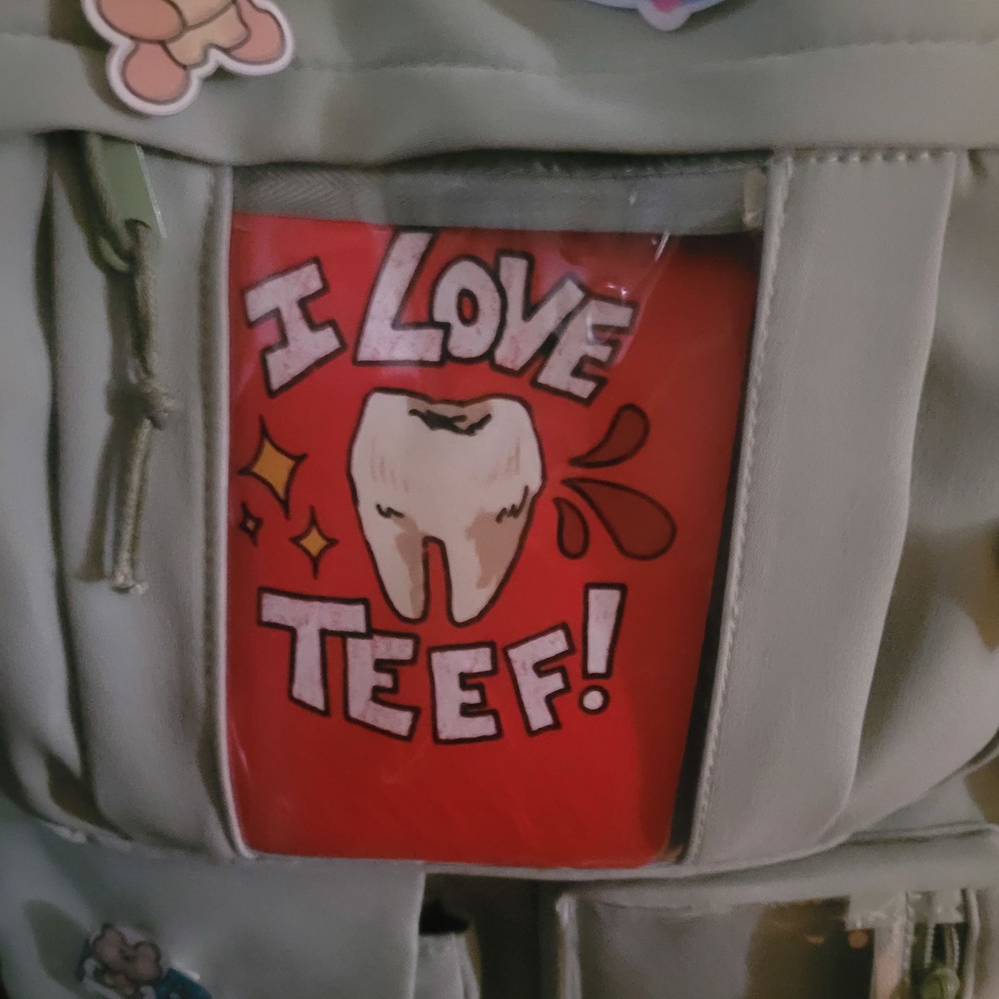 Customer photo review of I love teef! Pocket Book