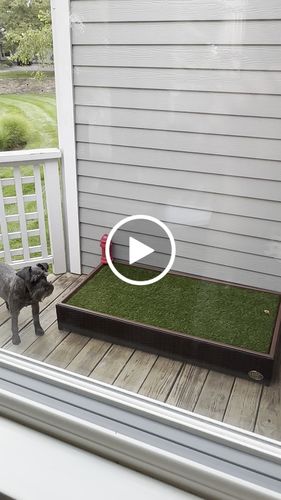 Customer video review of Live Grass / Live Sod