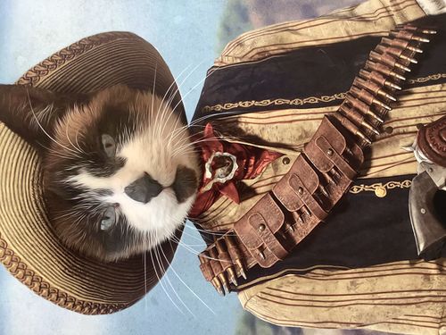 Customer photo review of The Outlaw - Custom Vintage Pet Portrait