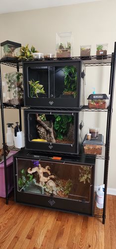 Customer photo review of XT2 BIO (24Lx18Dx24H) - STACKABLE
