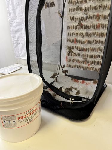 Customer photo review of Fructose Crystalline, Food and USP Grade, Non-GMO 4 kgs