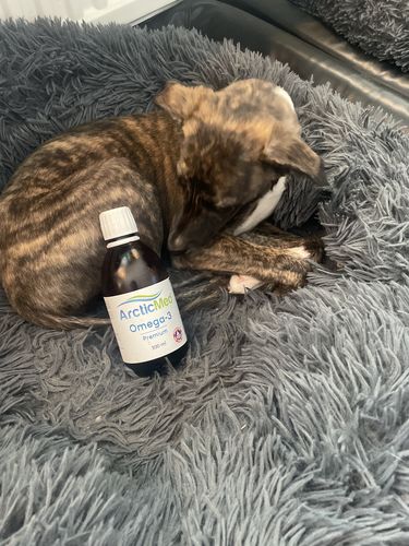 Customer photo review of Omega-3 Premium
