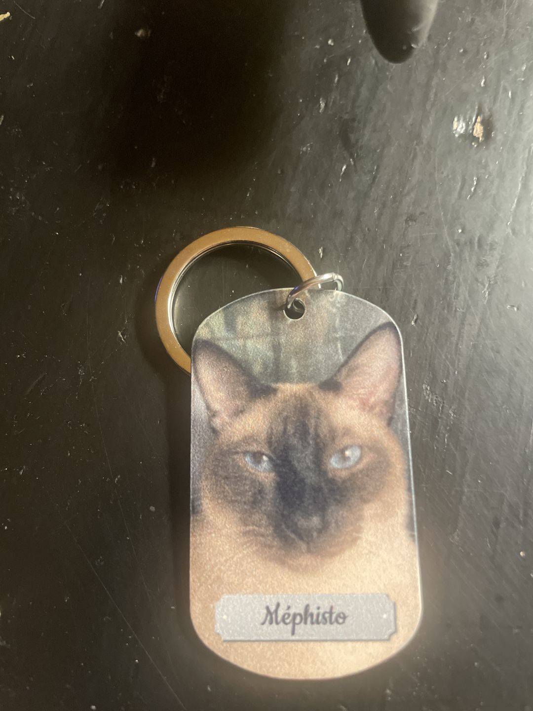 Customer photo review of Photo double face - Porte-clés Dog Tag personnalisé