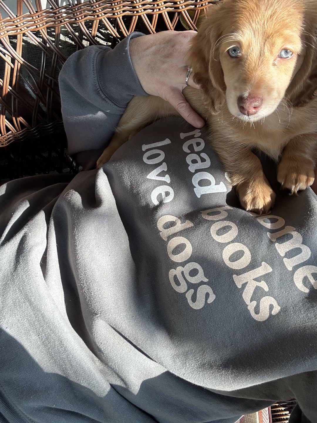 Customer photo review of Stay Home Read Books Love Dogs