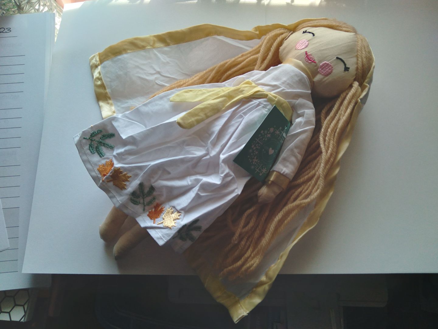 Customer photo review of Our Lady of Good Help Rag Doll (Our Lady of Champion, Wisconsin)