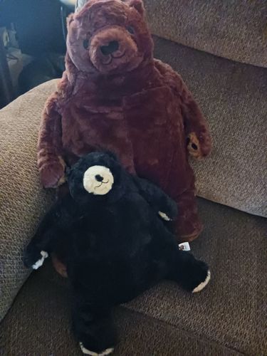 Customer photo review of SKOGGY BEAR