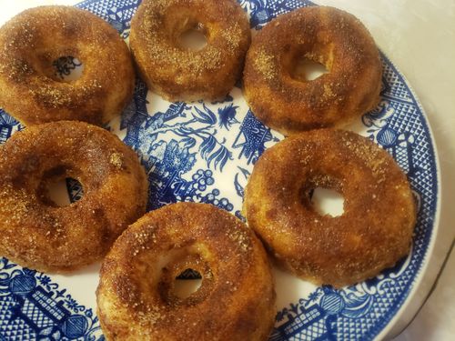 Customer photo review of Cinnamon Sugar Protein Donut Mix