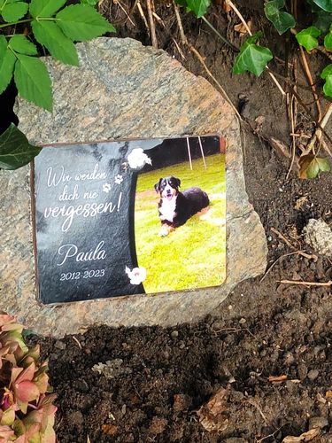 Customer photo review of Hunde Gedenktafel mit Foto & Spruch (UV- UND WETTERFEST)