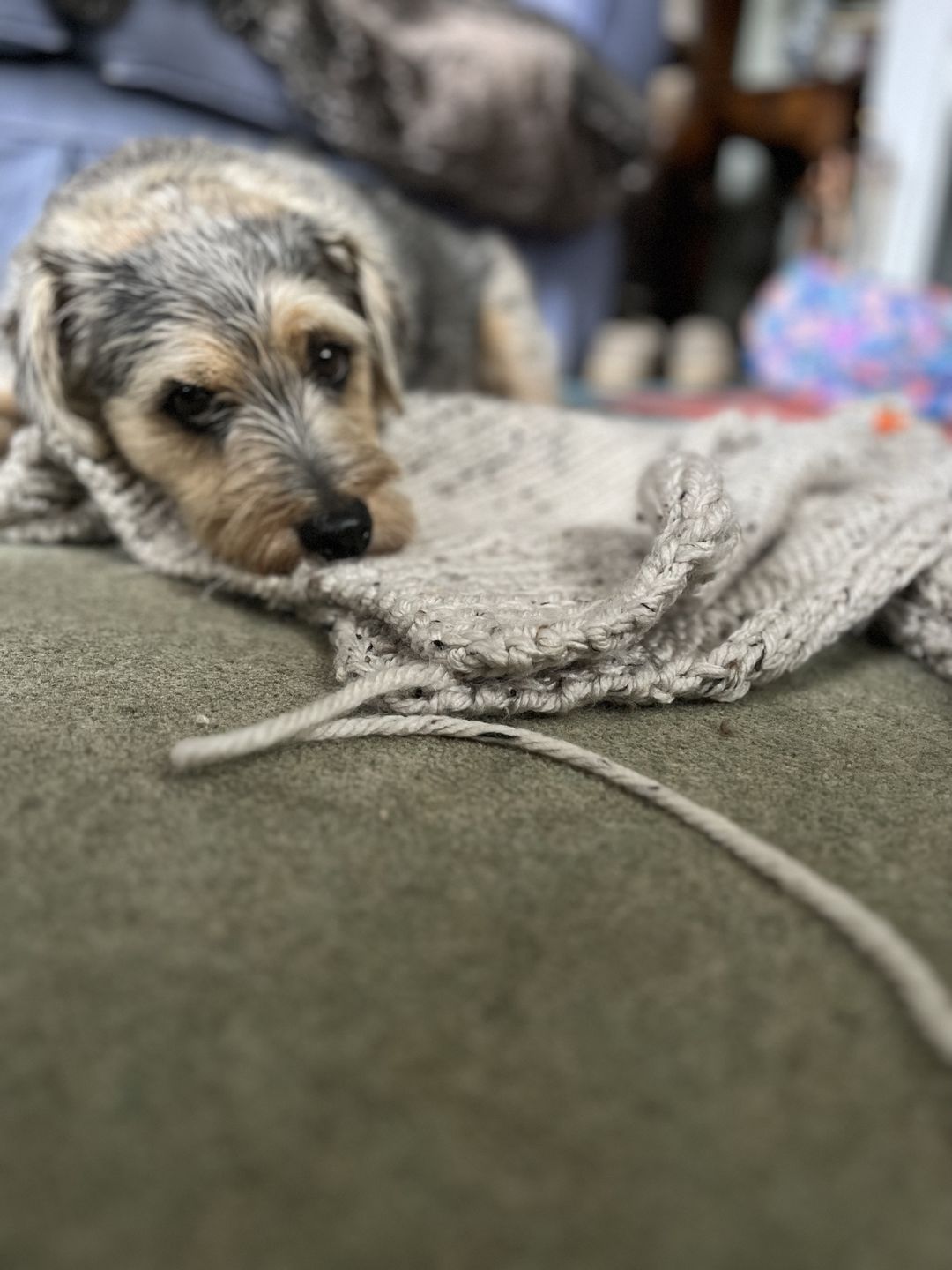 Customer photo review of Stylecraft Special XL Tweed Super Chunky Yarn