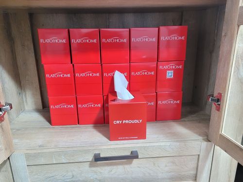 Customer photo review of Soft 90 count, 2 Ply Tree Free Facial Tissue Cube