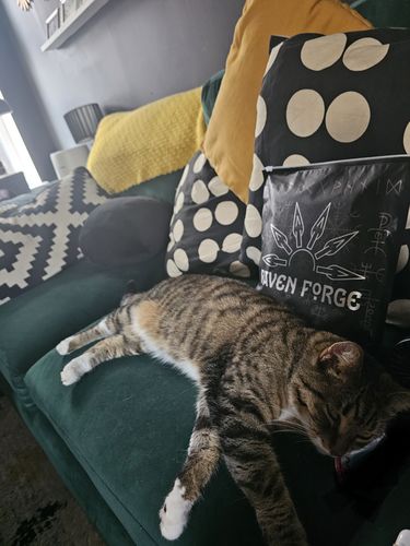 Customer photo review of Grown-up Lucky bag MK6