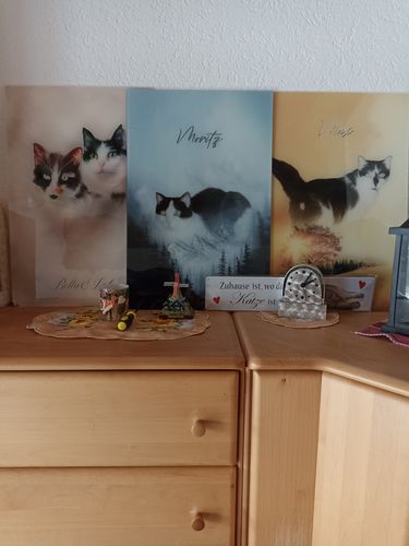 Customer photo review of Natur Pawtrait
