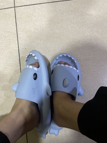 Customer photo review of The Original Shark Slides
