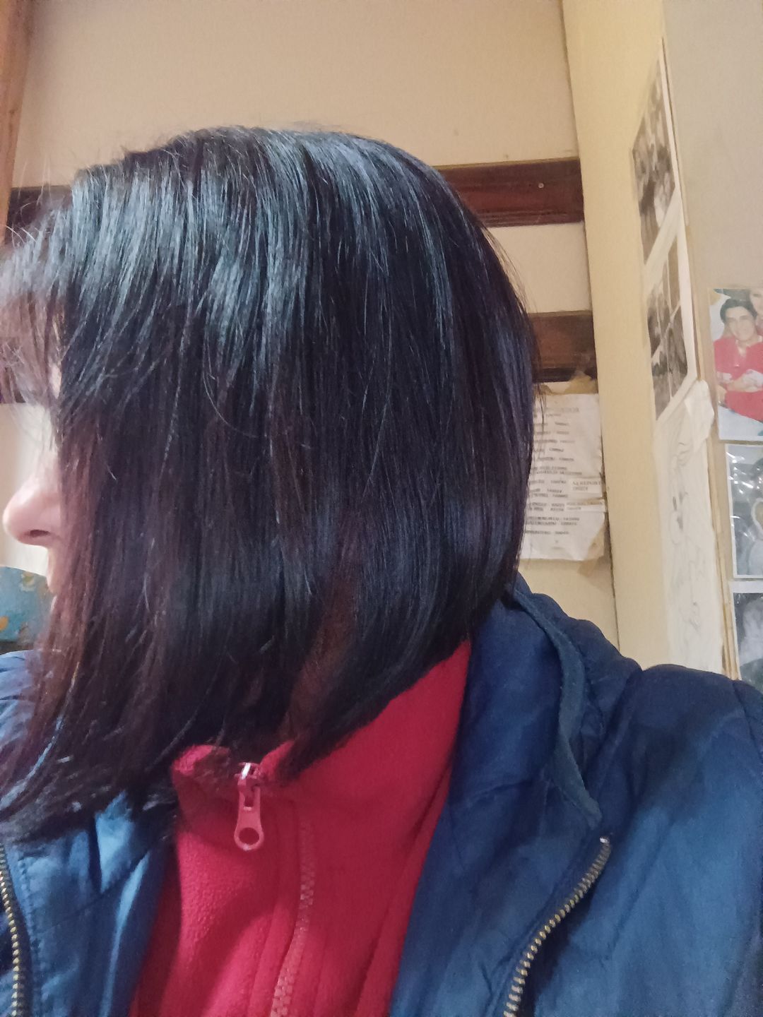 Customer photo review of Plancha Alisadora Iónica