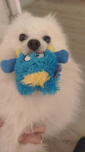 Customer photo review of DogFri™ MonsterBall - Monster Dog Aktivt Boldlegetøj