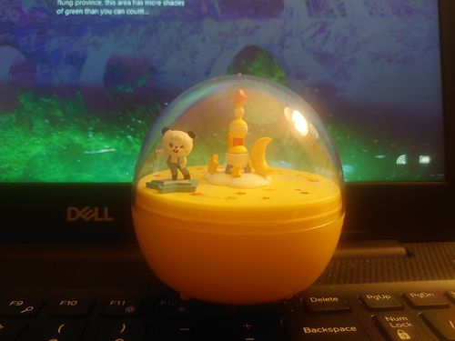 Customer photo review of Sales Promote Mystery Box Only $8.99【Slightly Package Damaged】