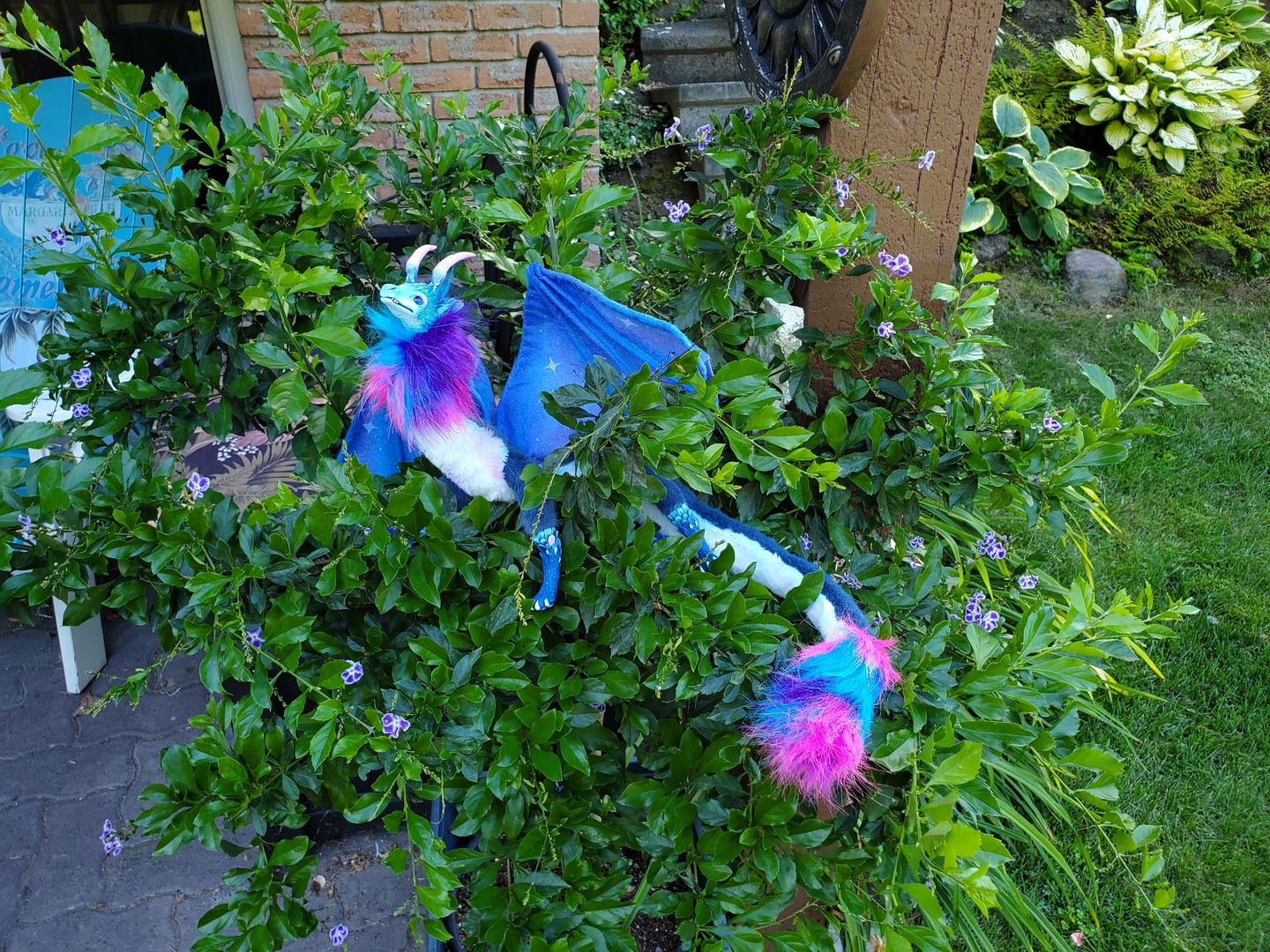 Customer photo review of Customize your creature!