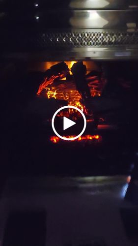 Customer video review of Napoleon Woodland 27'' Electric Fireplace Log Insert