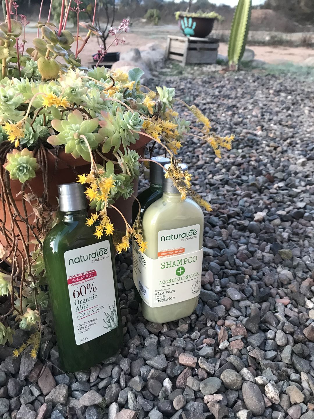Customer photo review of Shampoo Control Caida Normal + Acondicionador Caida 350ml