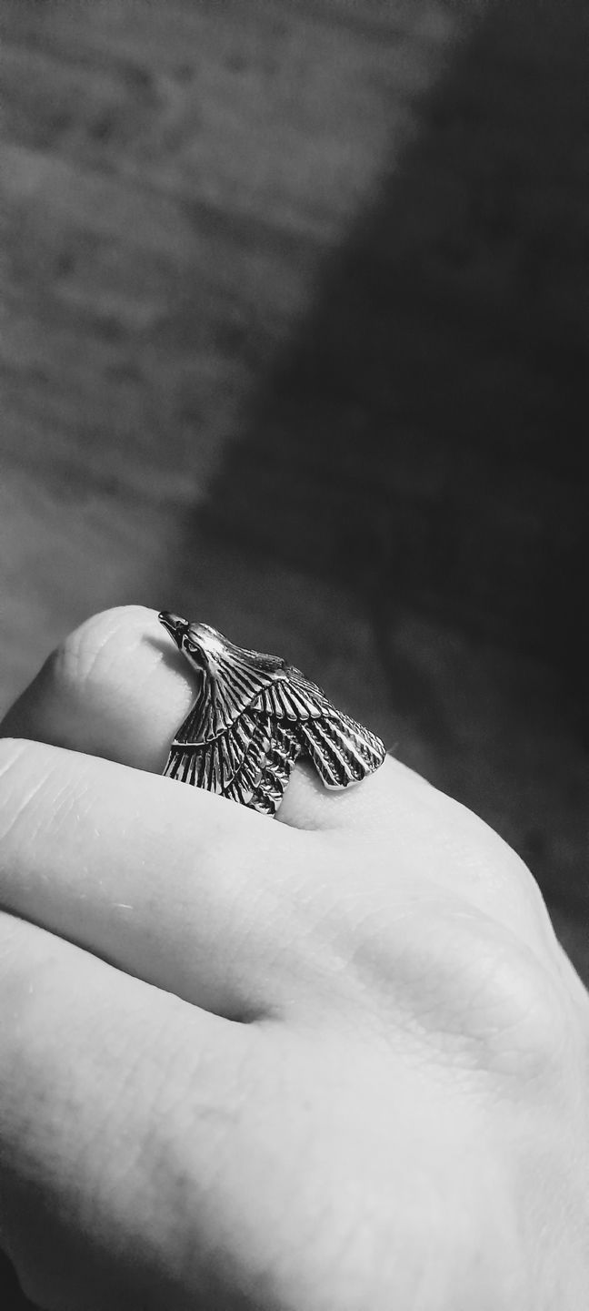 Customer photo review of FREEDOM. - SILVER
