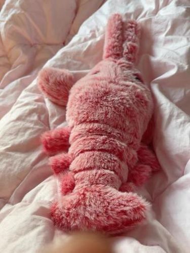 Customer photo review of DogCatFri™ PlushToy - Interaktivt Plyslegetøj Til Kæledyr