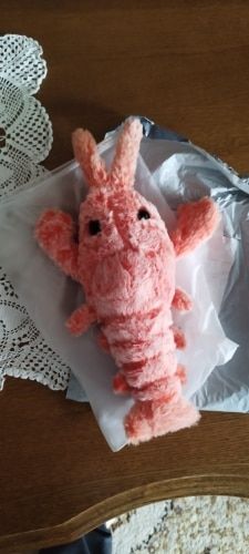 Customer photo review of DogCatFri™ PlushToy - Interaktivt Plyslegetøj Til Kæledyr