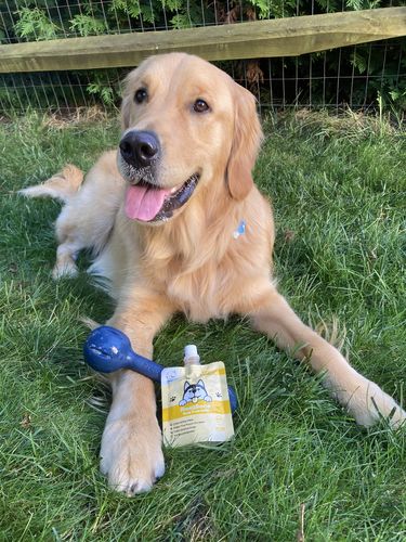 Customer photo review of Freez Double