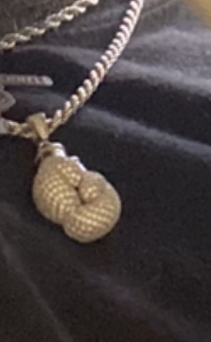 Customer photo review of 2.50 Carat VVS Moissanite Boxing Gloves Pendant