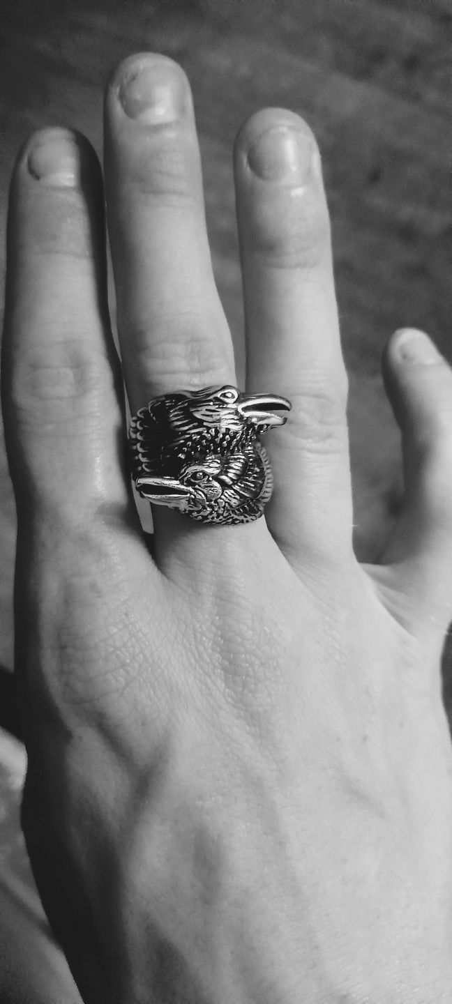 Customer photo review of RAVEN.