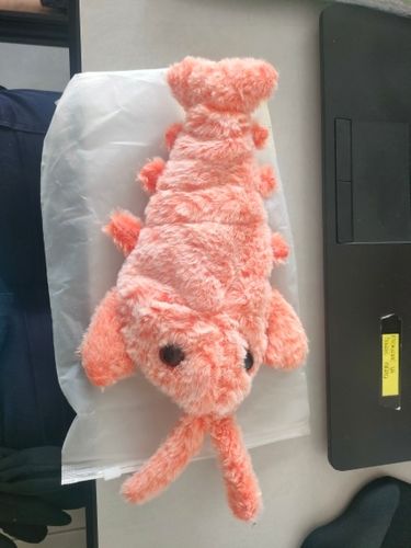 Customer photo review of DogCatFri™ PlushToy - Interaktivt Plyslegetøj Til Kæledyr