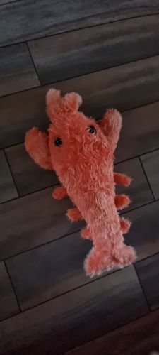 Customer photo review of DogCatFri™ PlushToy - Interaktivt Plyslegetøj Til Kæledyr