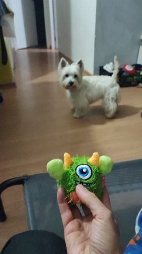 Customer photo review of DogFri™ MonsterBall - Monster Dog Aktivt Boldlegetøj