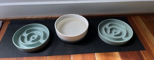 Customer photo review of Ceramic Slow Feeder Pet Bowl for Dogs and Cats
