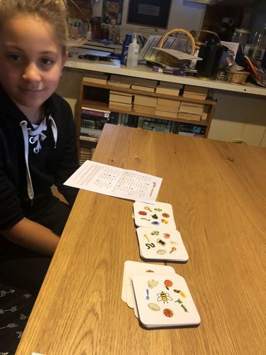 Customer photo review of Tākaro! - Original