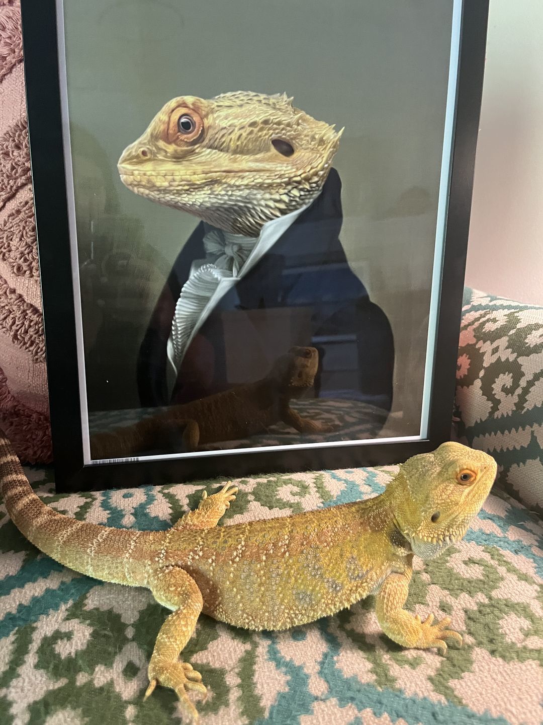 Customer photo review of Le Député